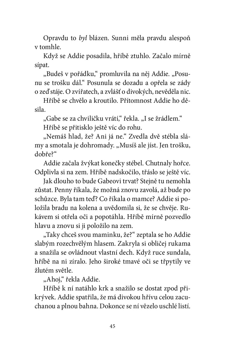 Zimní hříbě