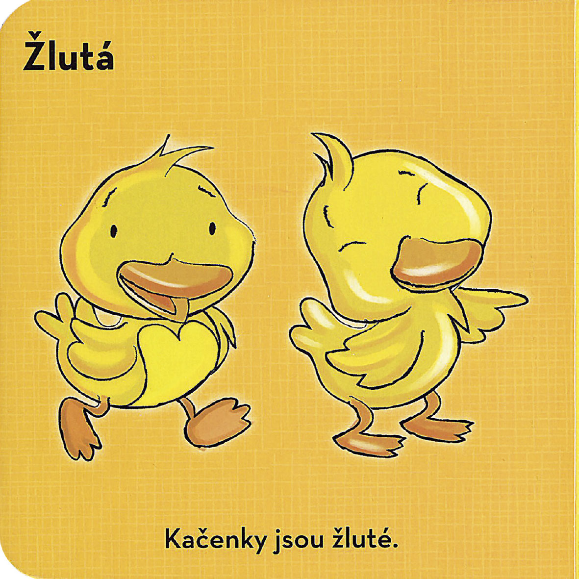 Svět kolem nás - Moje první knihovnička