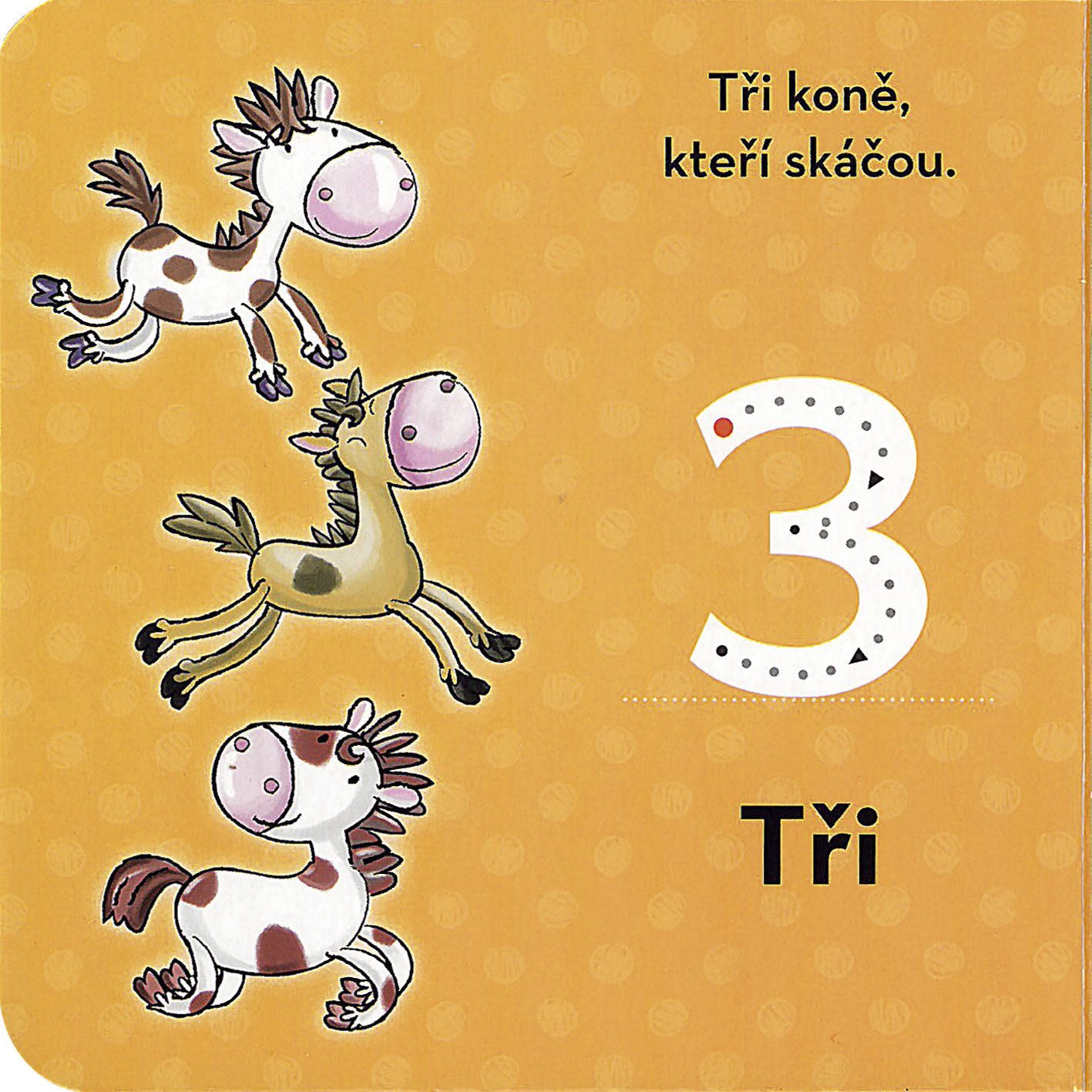 Svět kolem nás - Moje první knihovnička