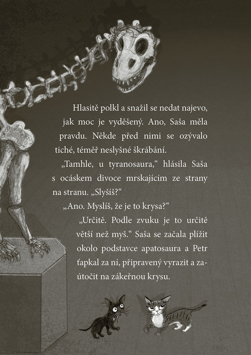 Koťata a půlnoční host