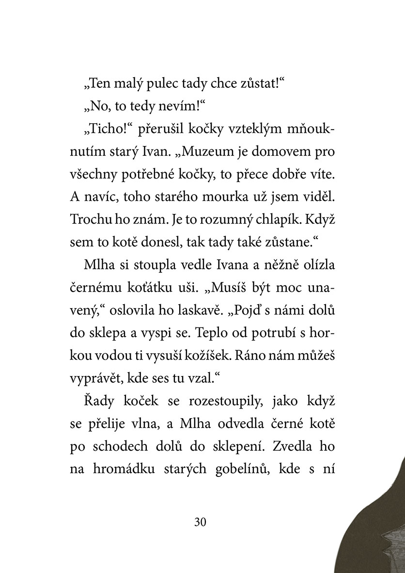 Koťata a půlnoční host