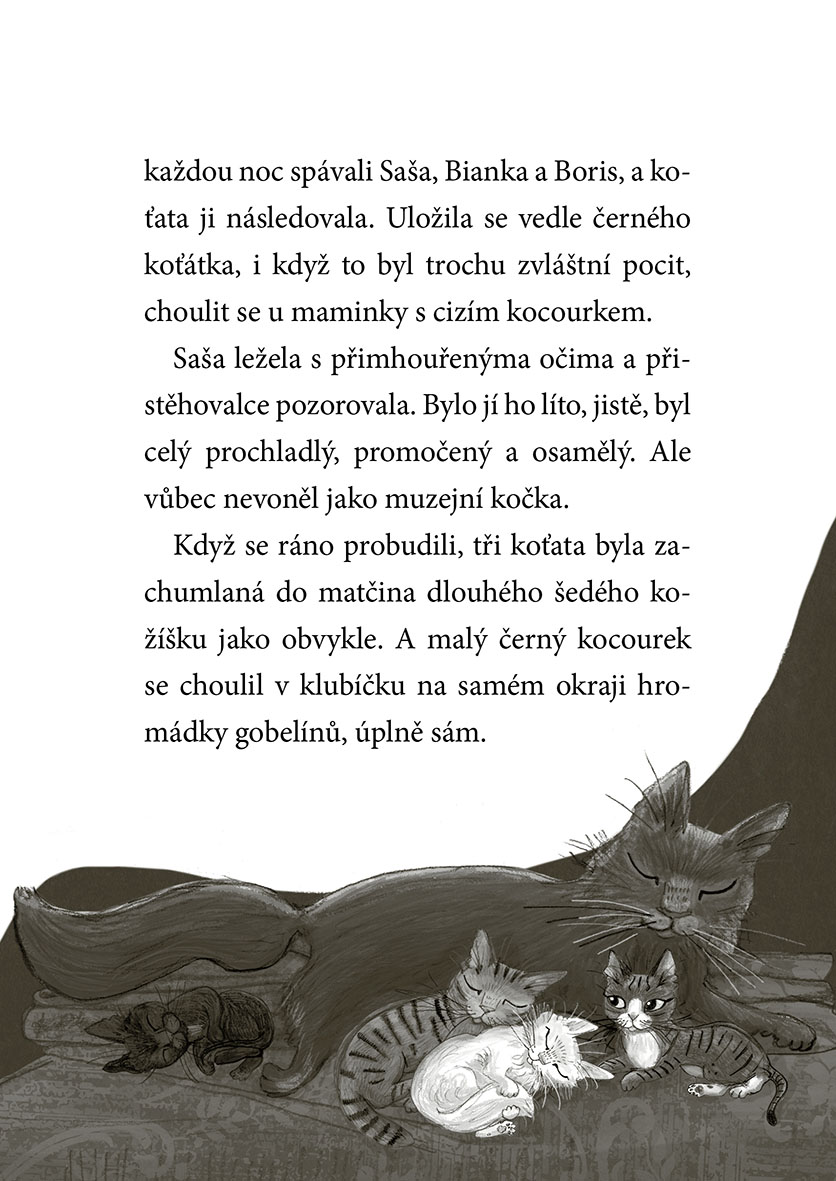 Koťata a půlnoční host
