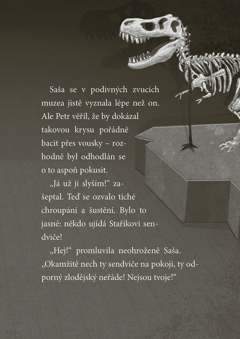 Koťata a půlnoční host