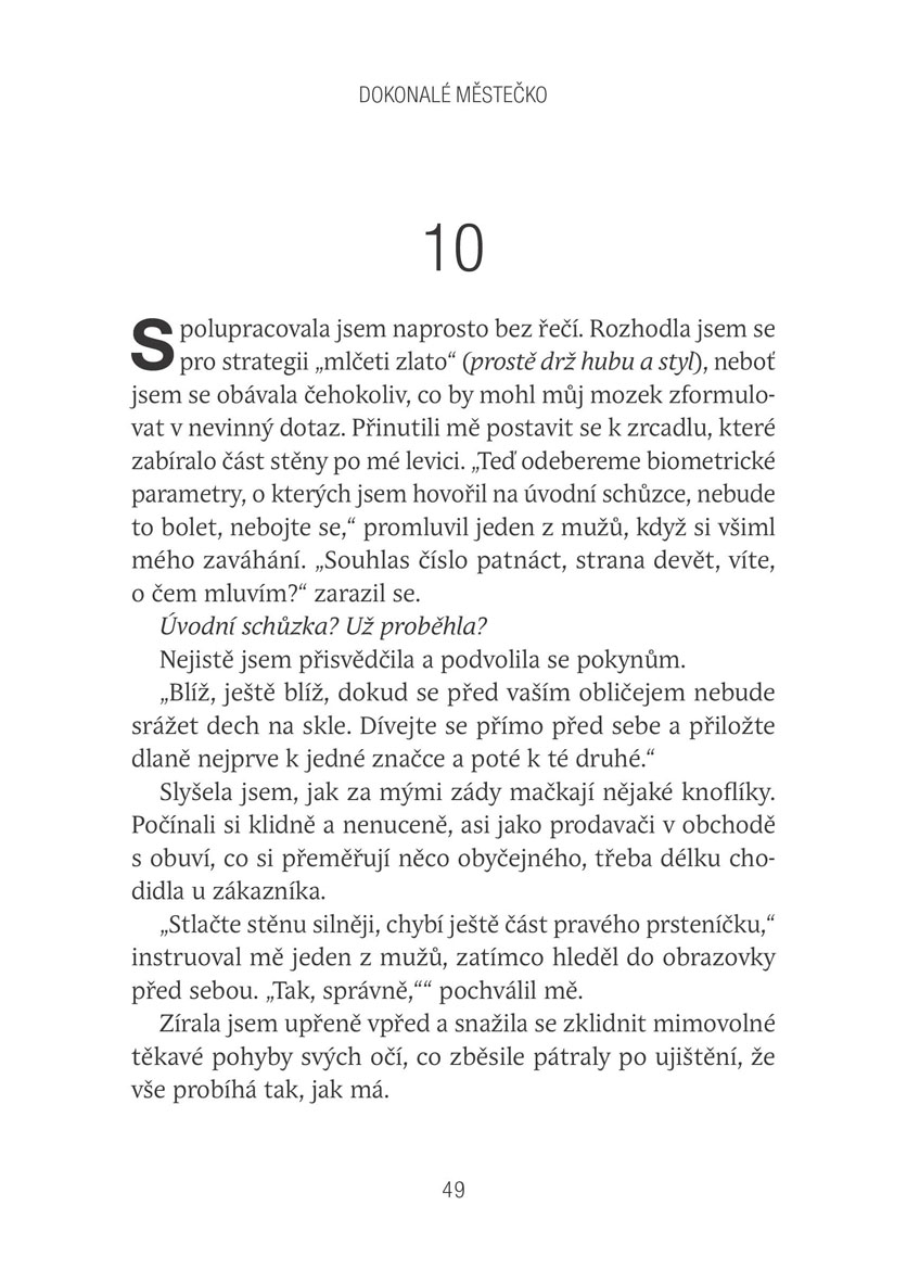 Dokonalé městečko