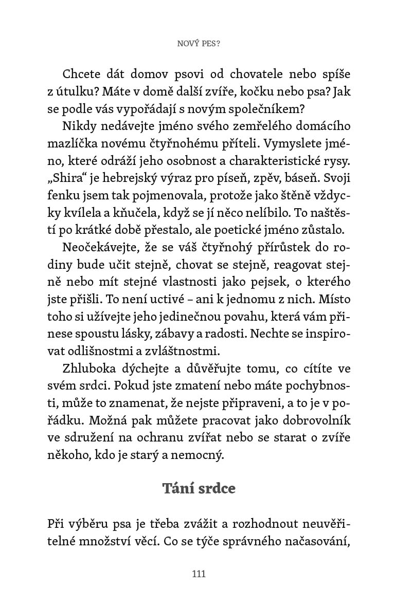 Do psího nebe