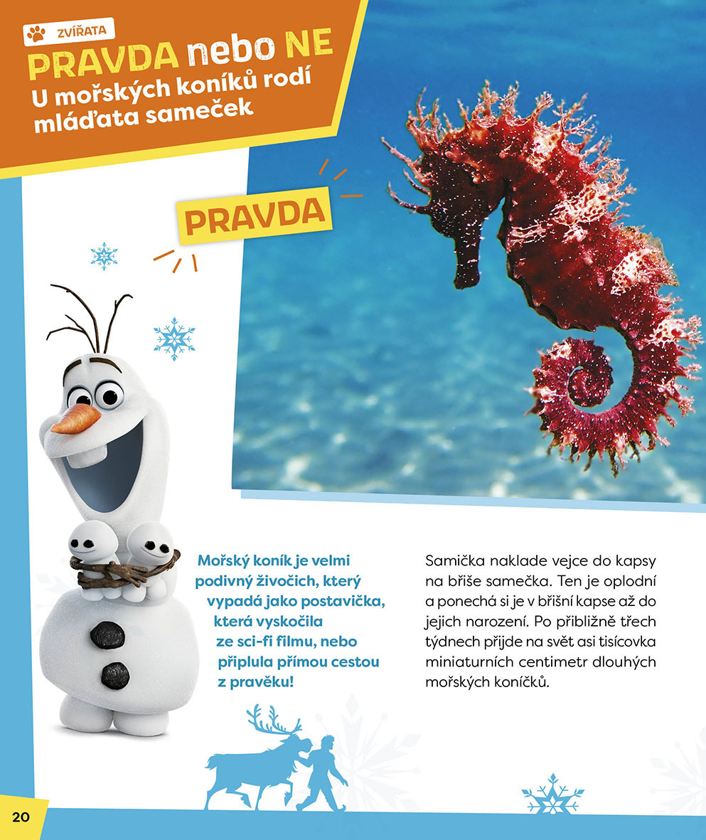 Ledové království – Olaf se ptá PRAVDA nebo NE?