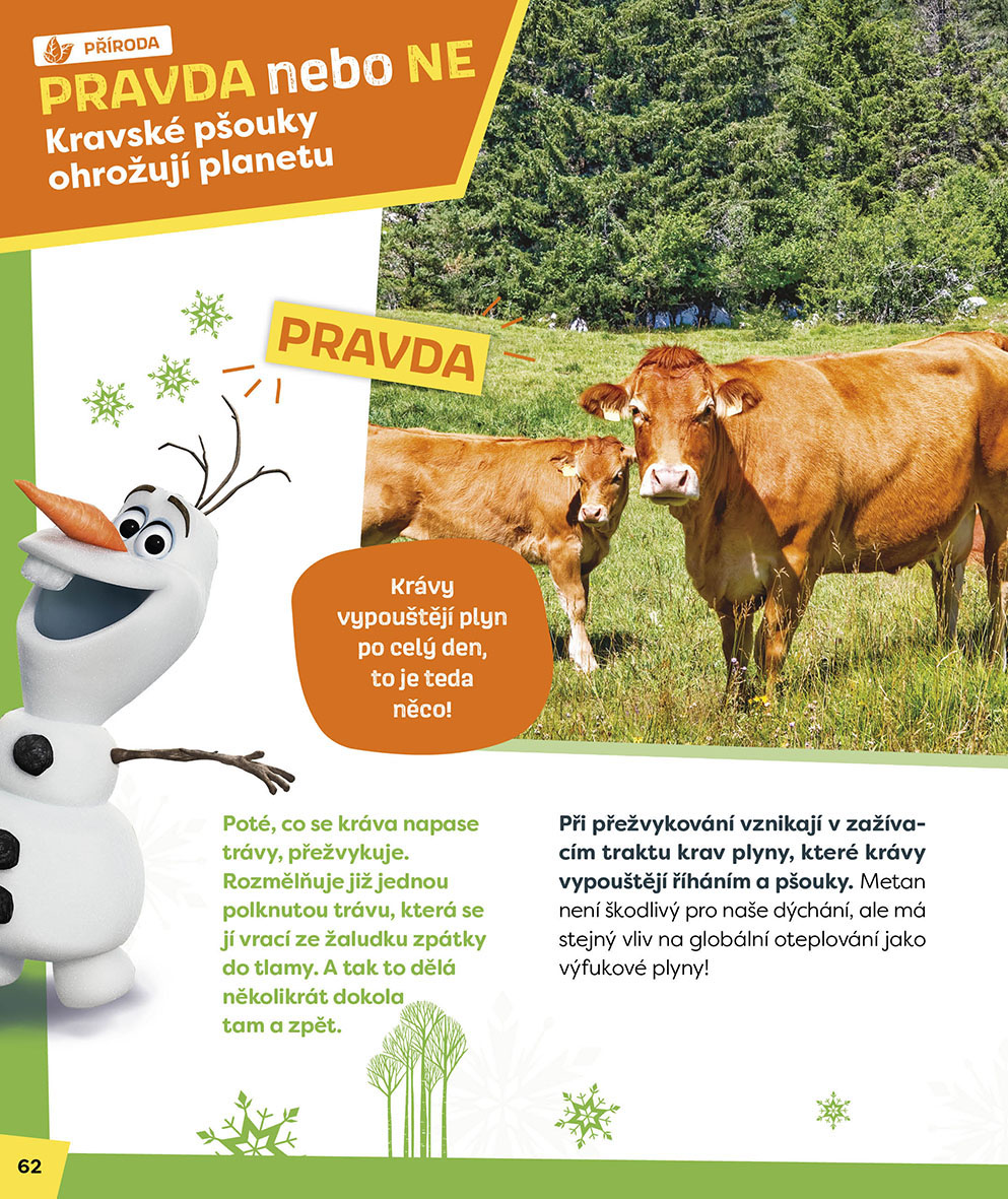 Ledové království – Olaf se ptá PRAVDA nebo NE?