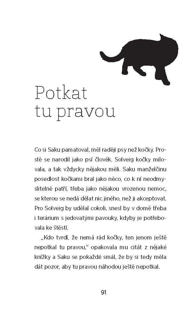 Čekání na kocoura