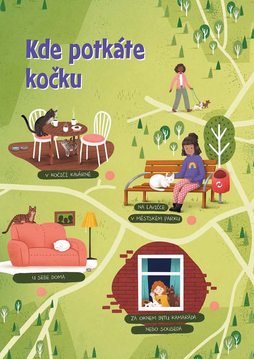 Jak na kočku