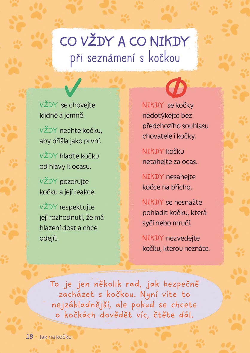 Jak na kočku