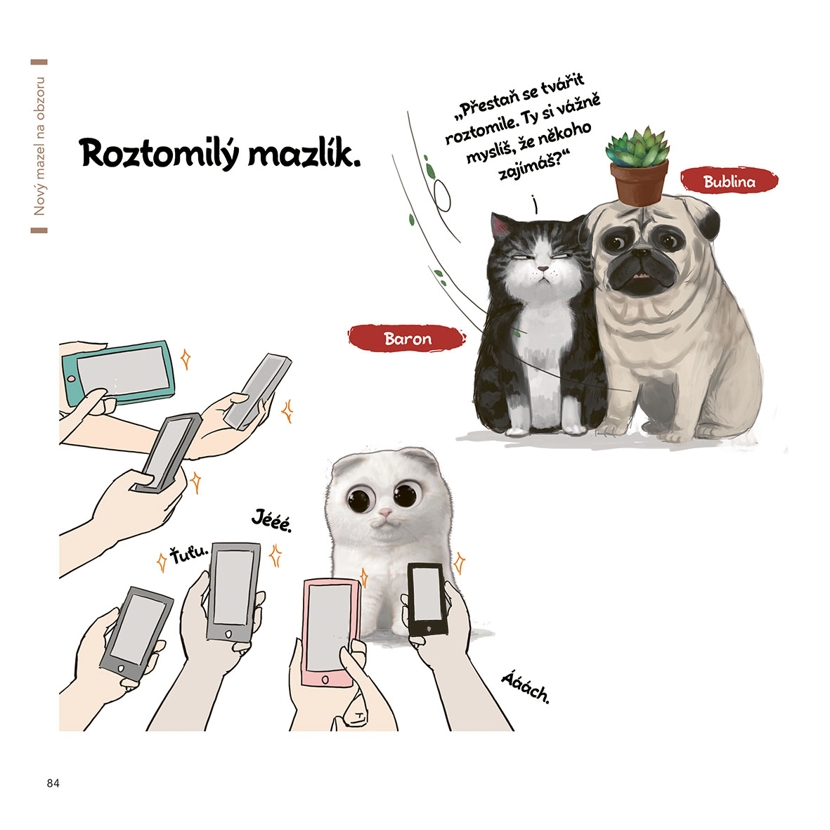 Kocour a mops