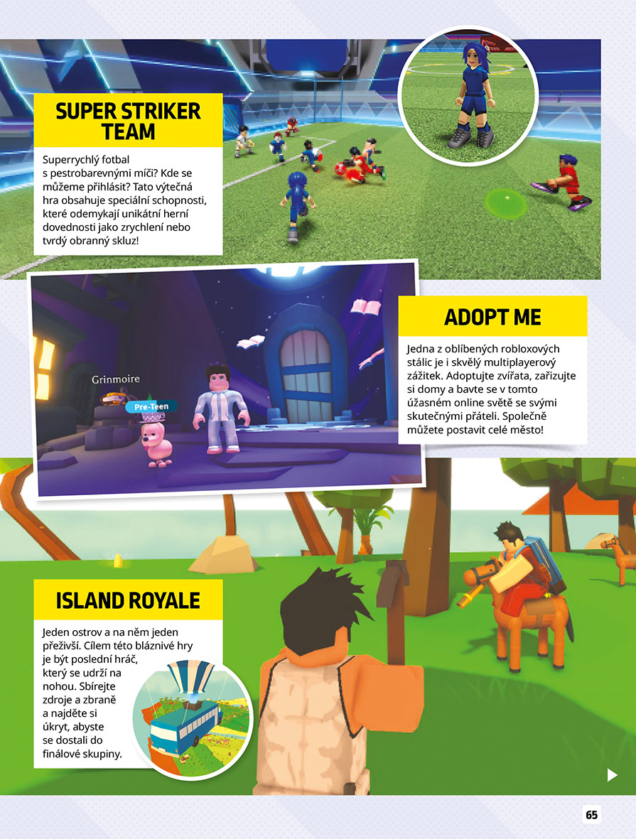 Roblox 100% neoficiální - Knížka na celý rok