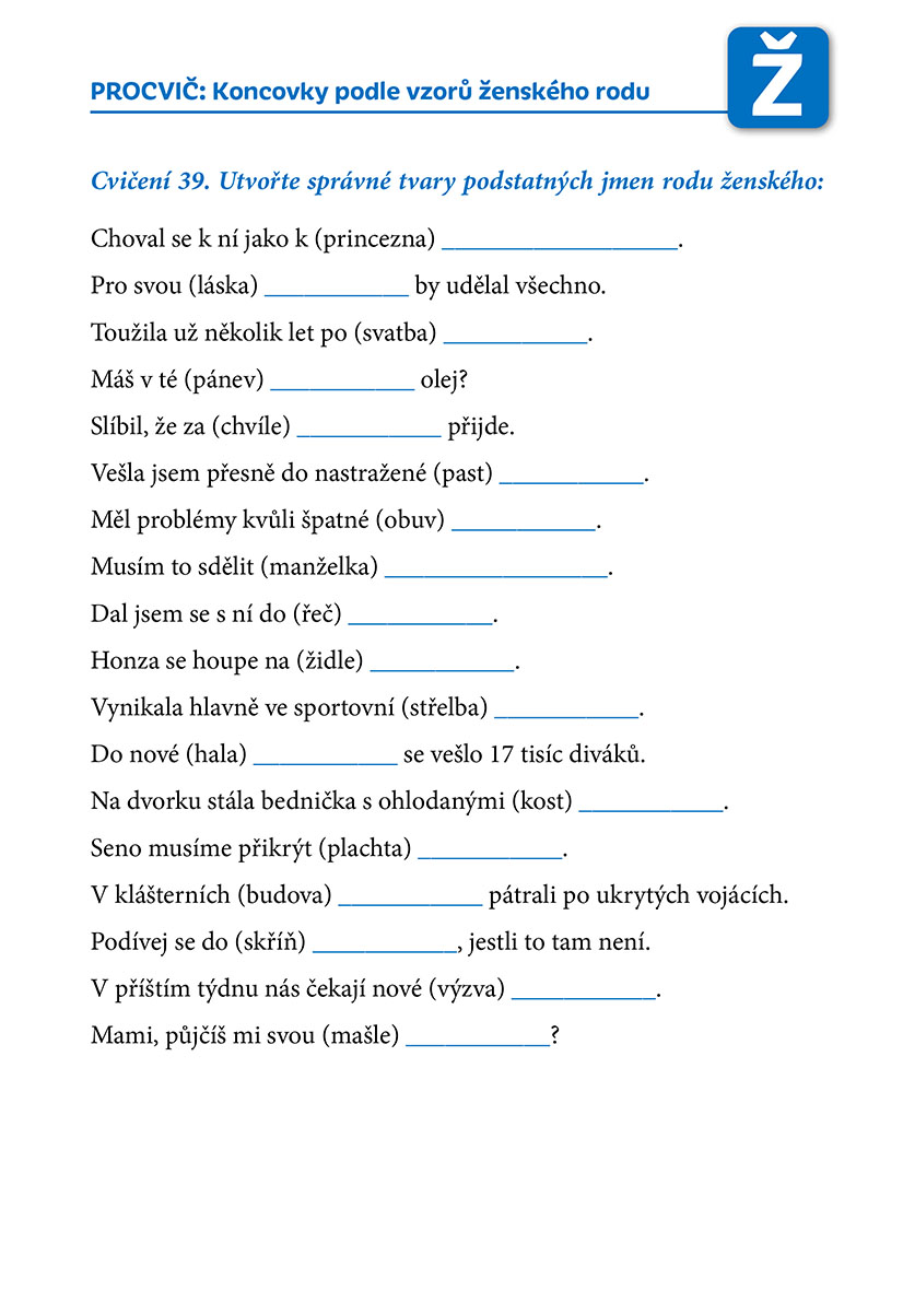 Poznej a procvič: Koncovky podstatných jmen
