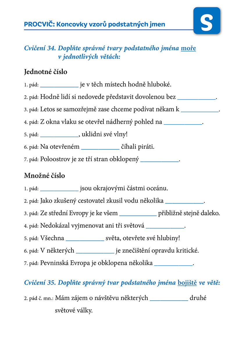 Poznej a procvič: Koncovky podstatných jmen