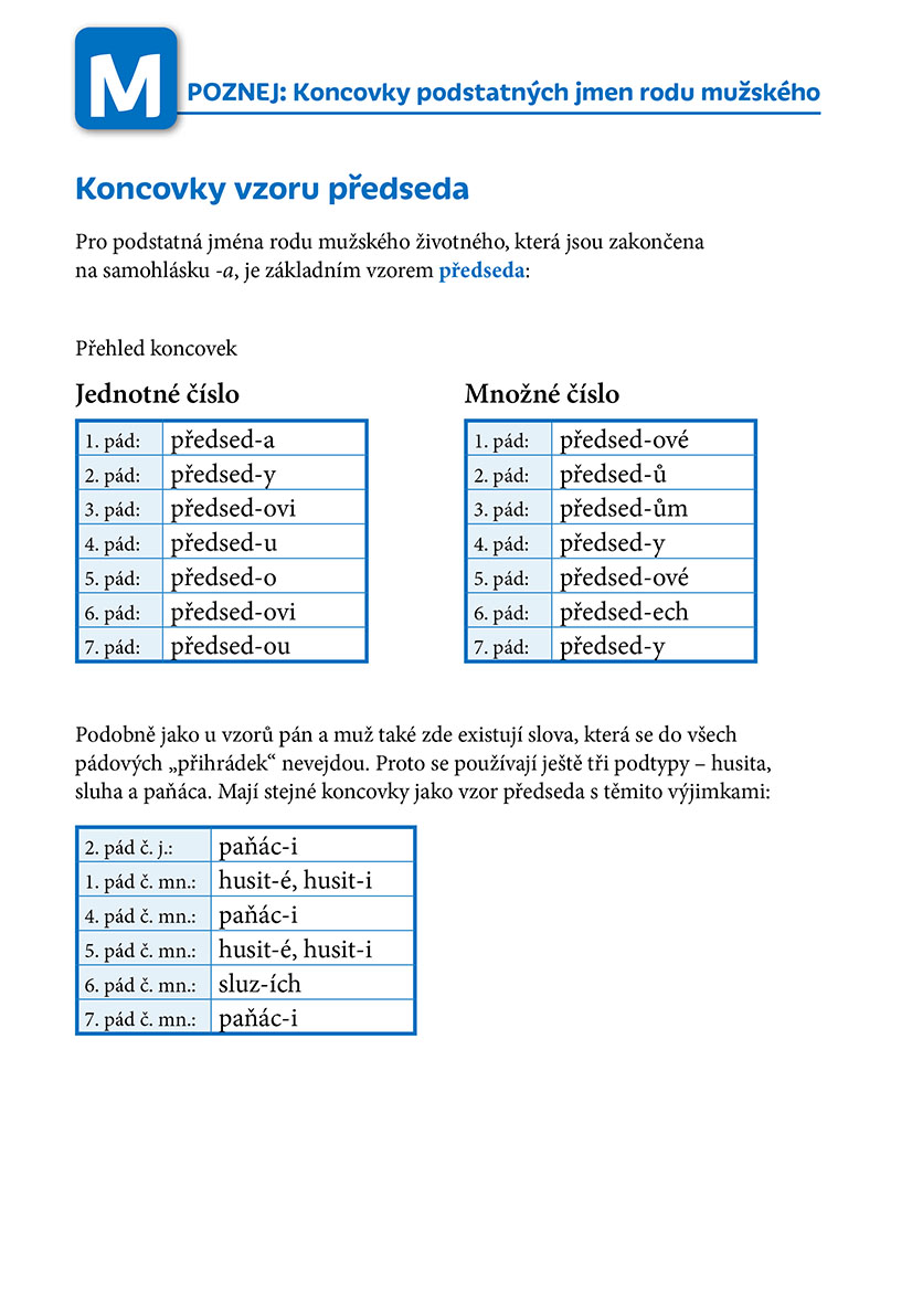 Poznej a procvič: Koncovky podstatných jmen