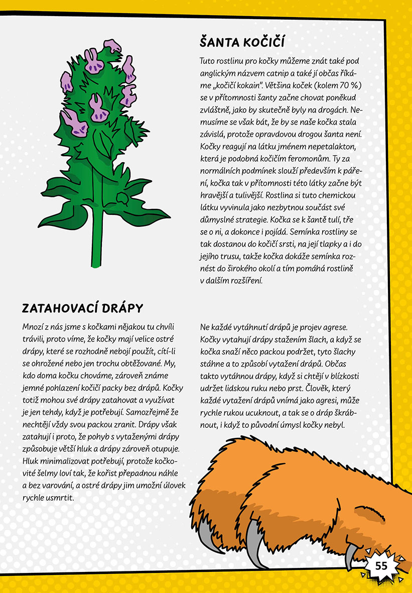 Vědecké kladivo 2