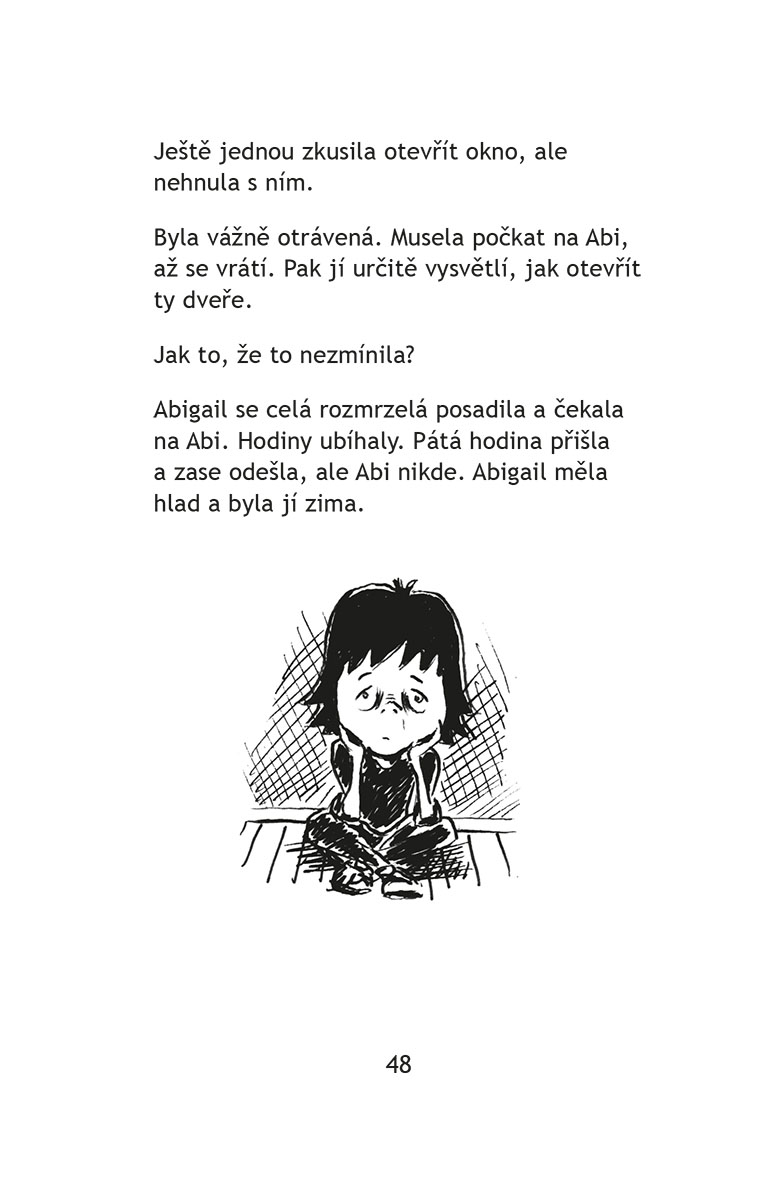 Za zrcadlem