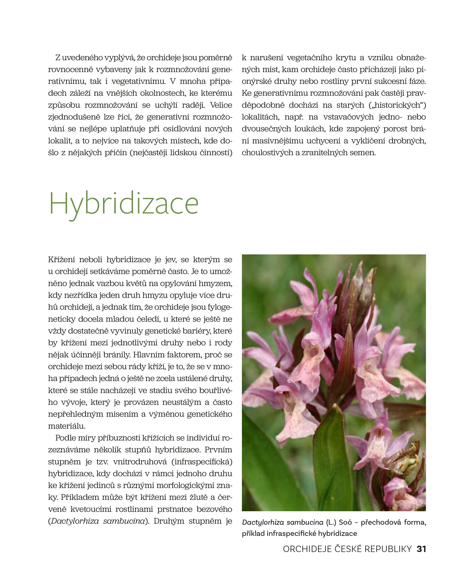 Orchideje České republiky