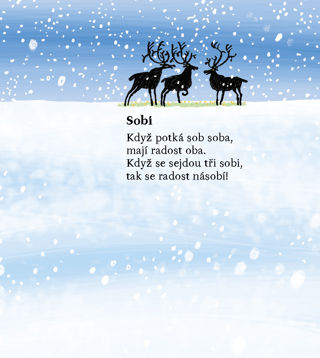 Sloni a jiní oni