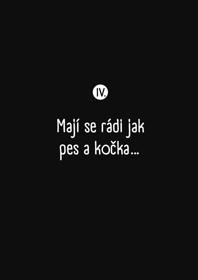 O kočkách a kocourech