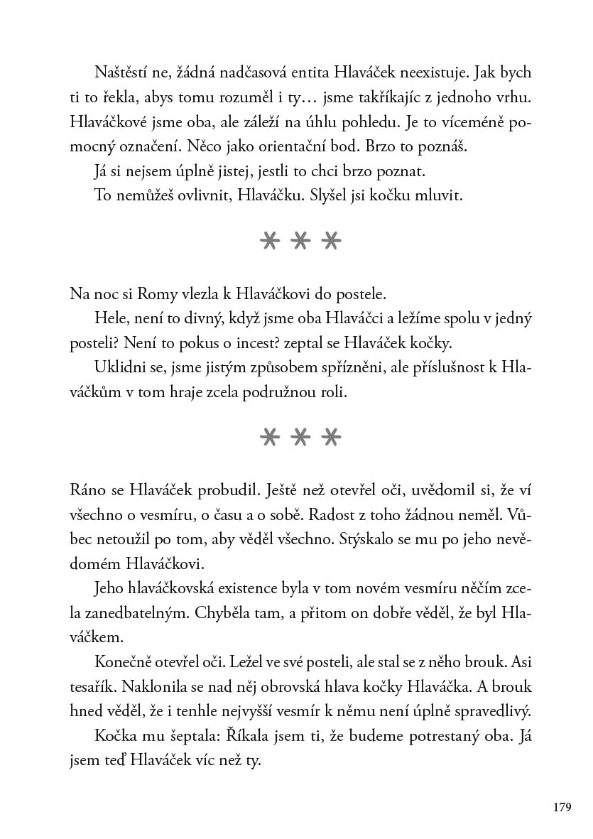 O kočkách a kocourech