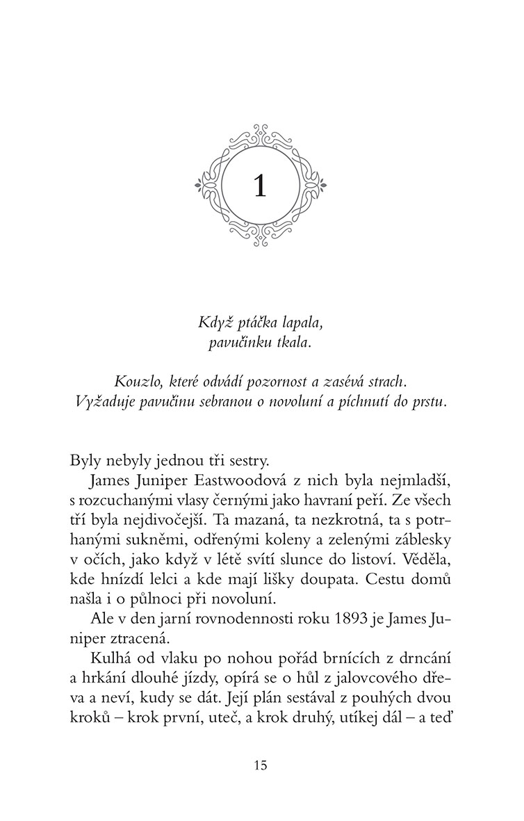 Čarodějnice dřívější a budoucí
