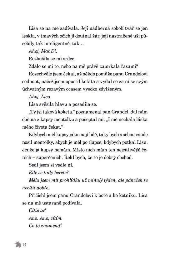 Půlnoc v útulku