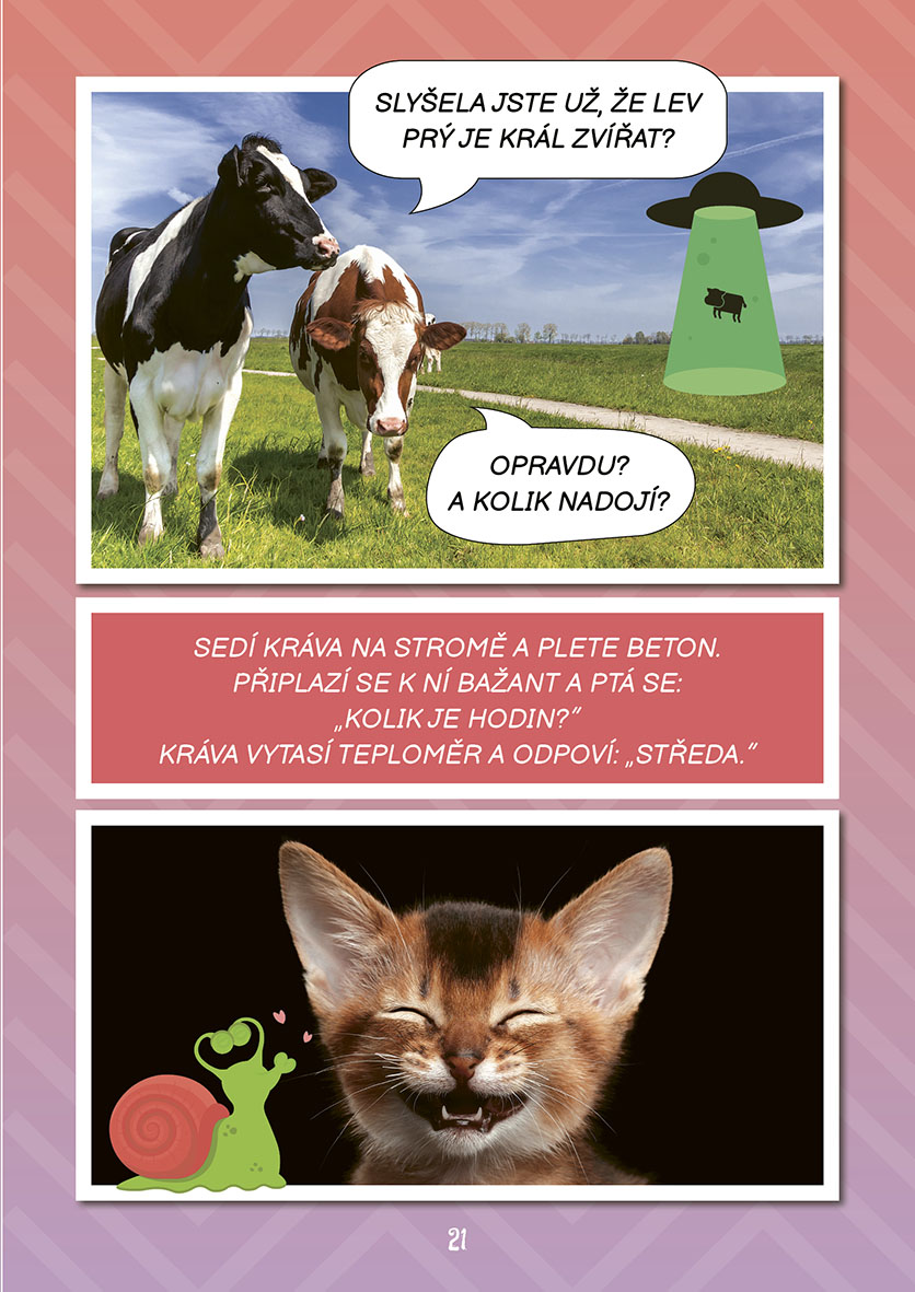 Vtipy pro děti: Srandičky kočičí partičky