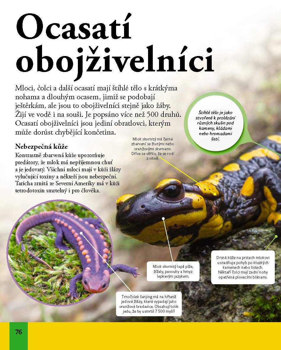 Moderní encyklopedie pro děti - Zvířata
