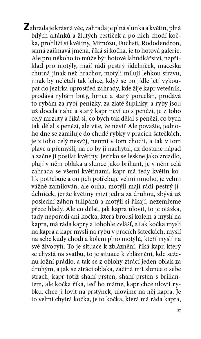 Žirafa nebo tulipán 