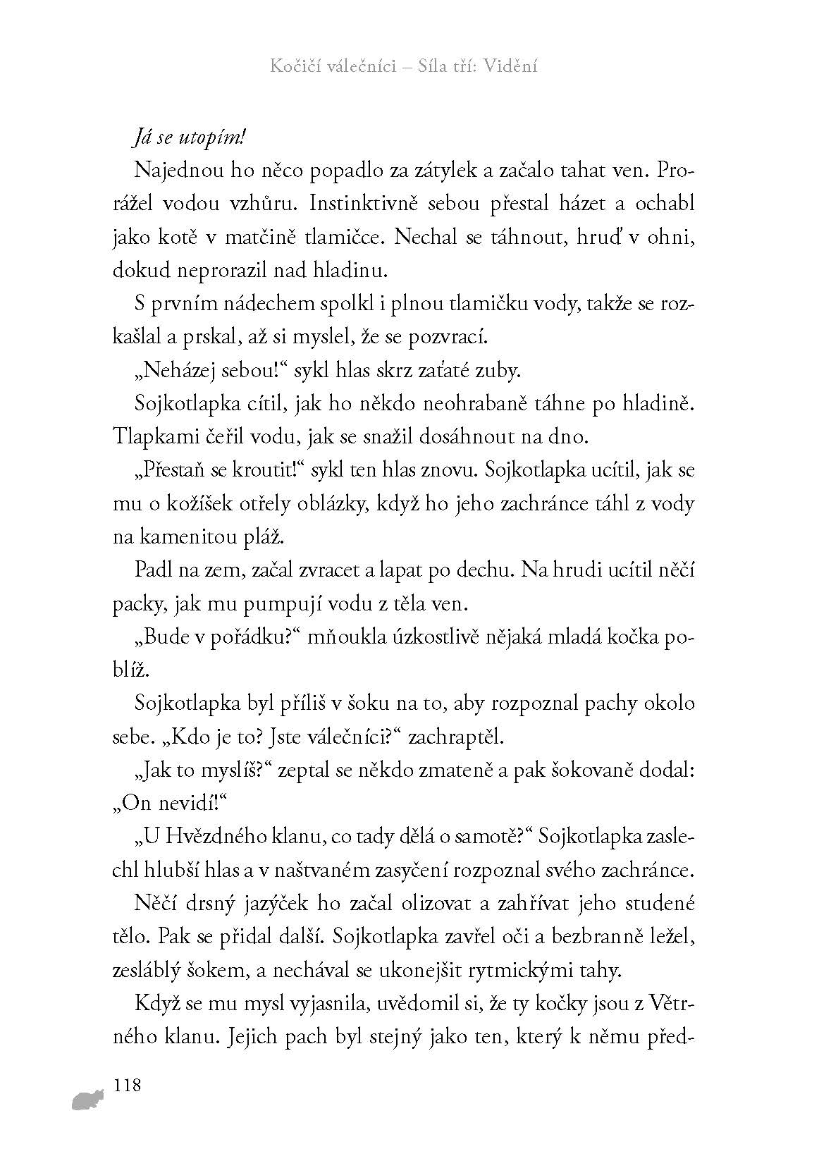 Kočičí válečníci: Síla tří (1) – Vidění