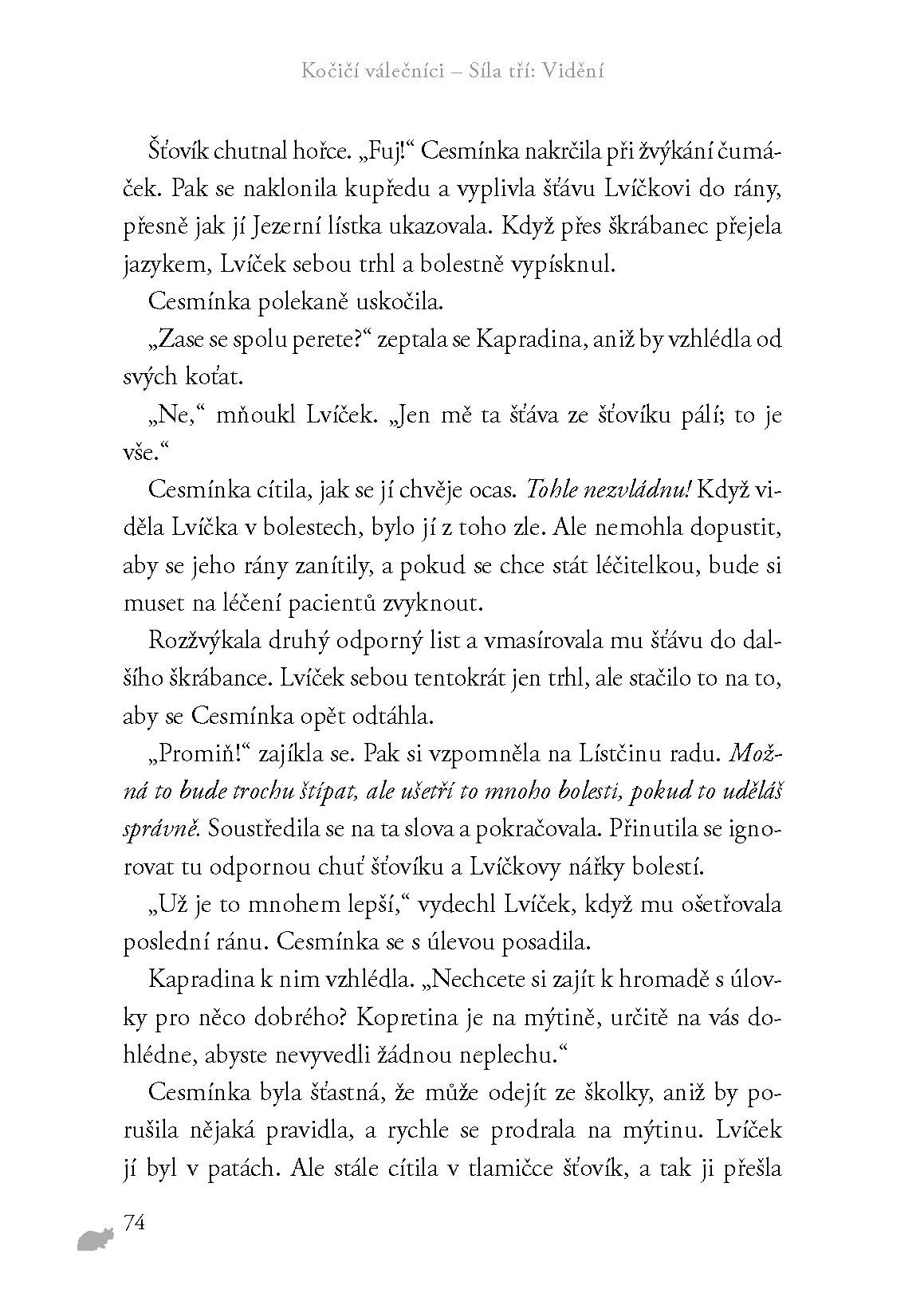 Kočičí válečníci: Síla tří (1) – Vidění