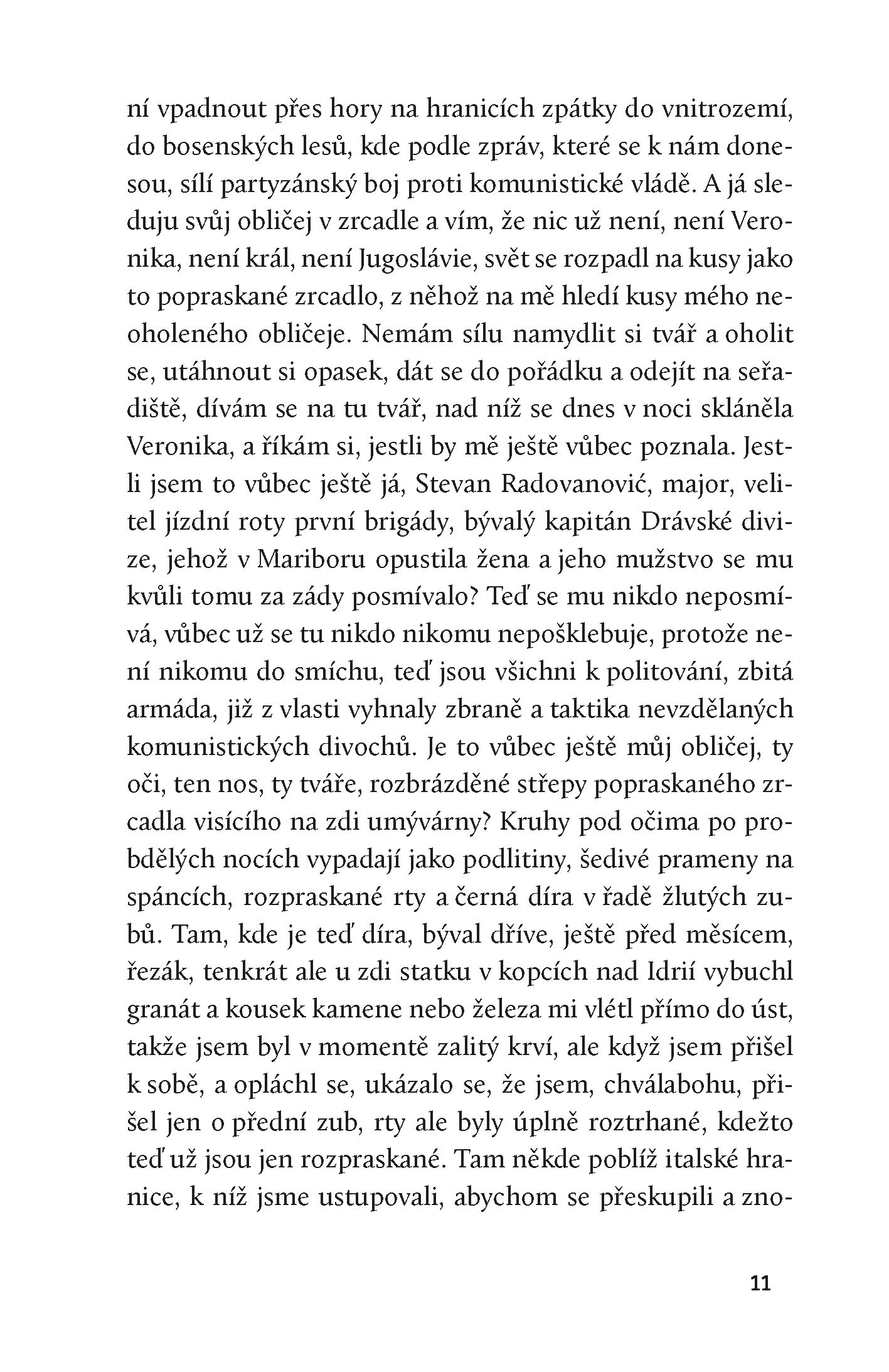 Dnes v noci jsem ji viděl