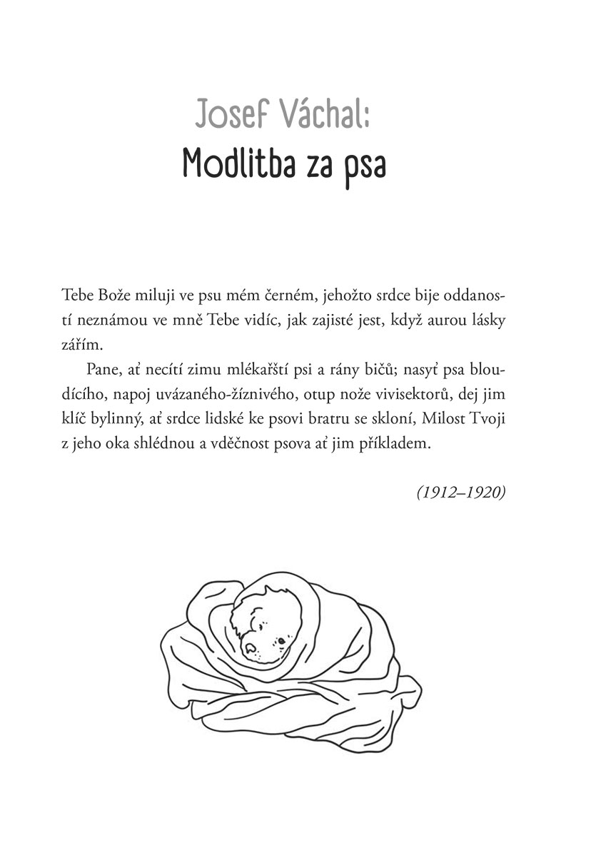 Psí příhody a nehody v české literatuře