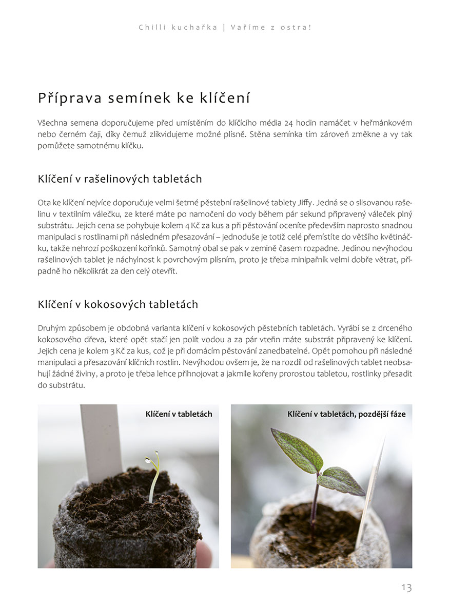 Chilli kuchařka