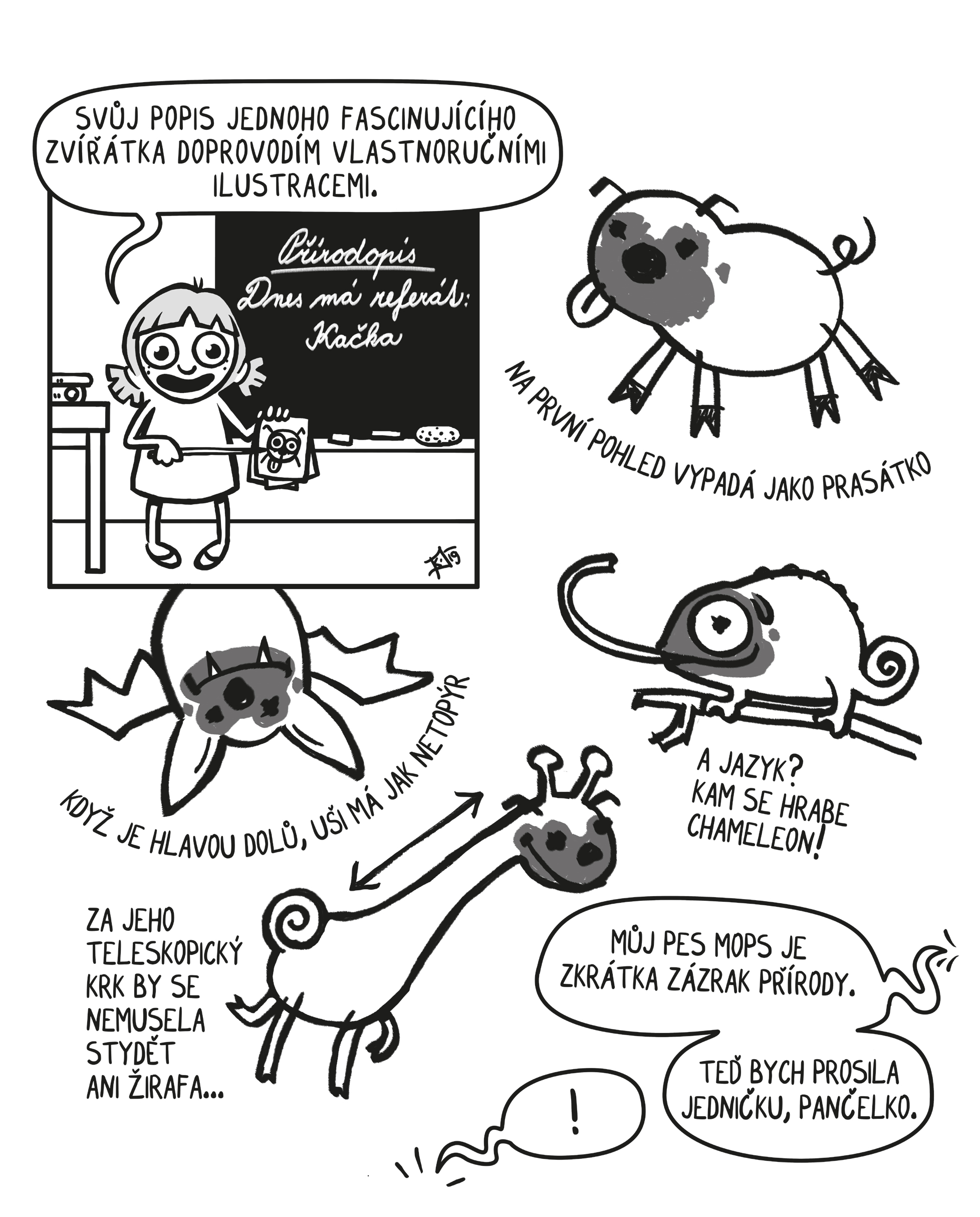 Kačka & Mops