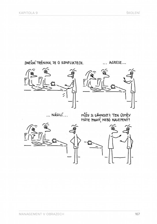Management v obrazech