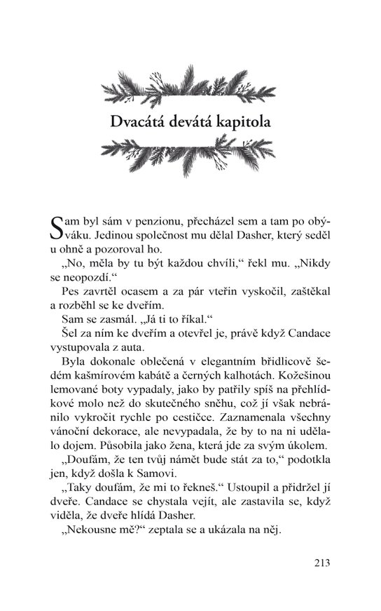Jak si zamilovat Vánoce