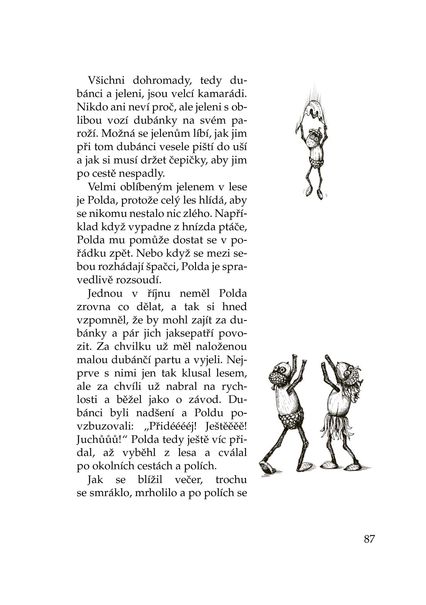 Dubánci - příběhy jednoho roku 