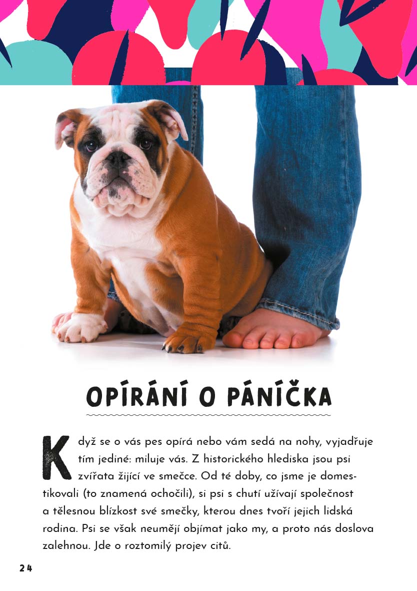 Jak mluvit se zvířaty