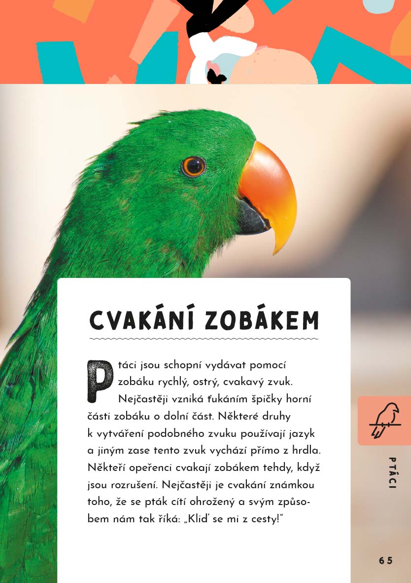 Jak mluvit se zvířaty