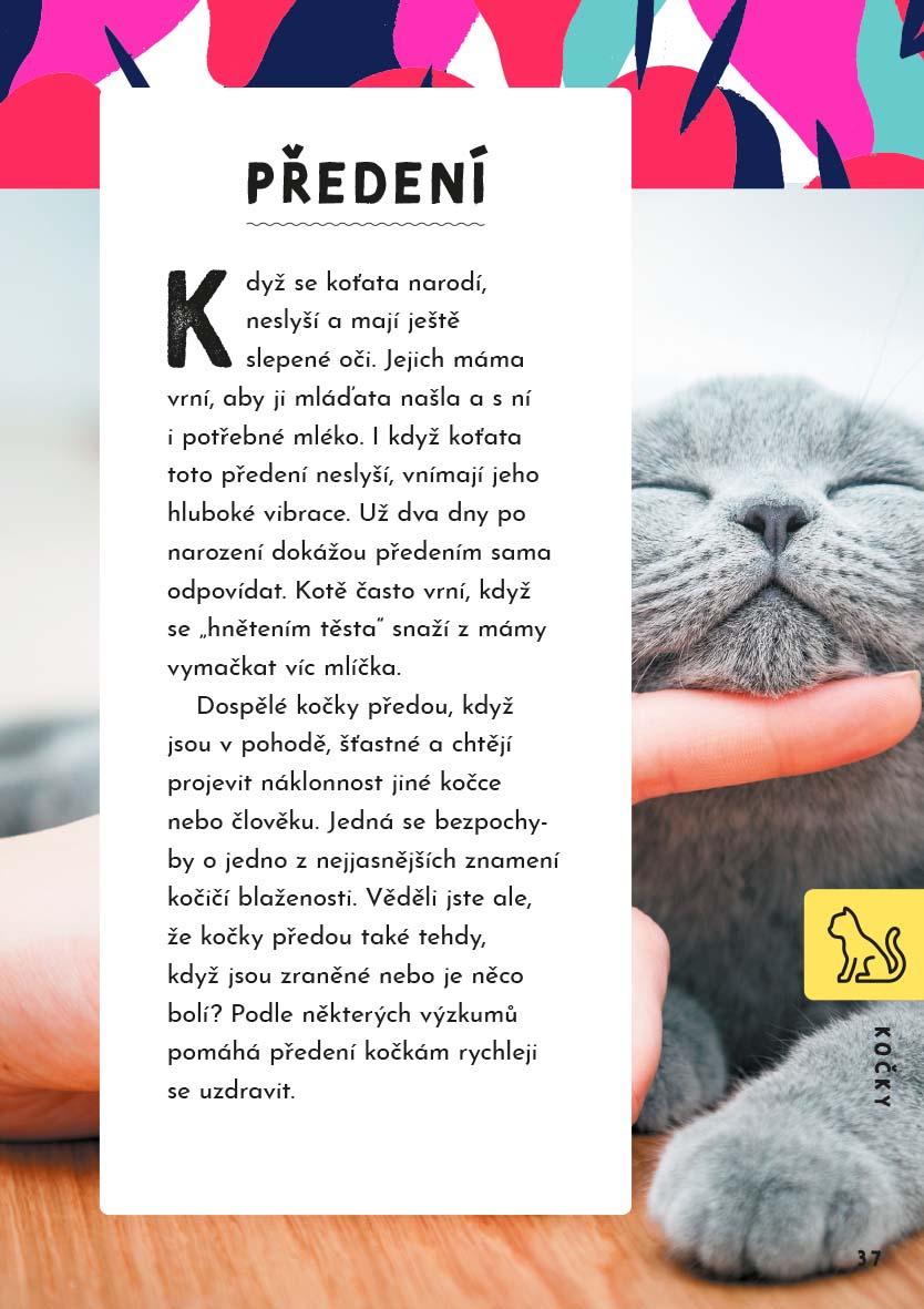 Jak mluvit se zvířaty