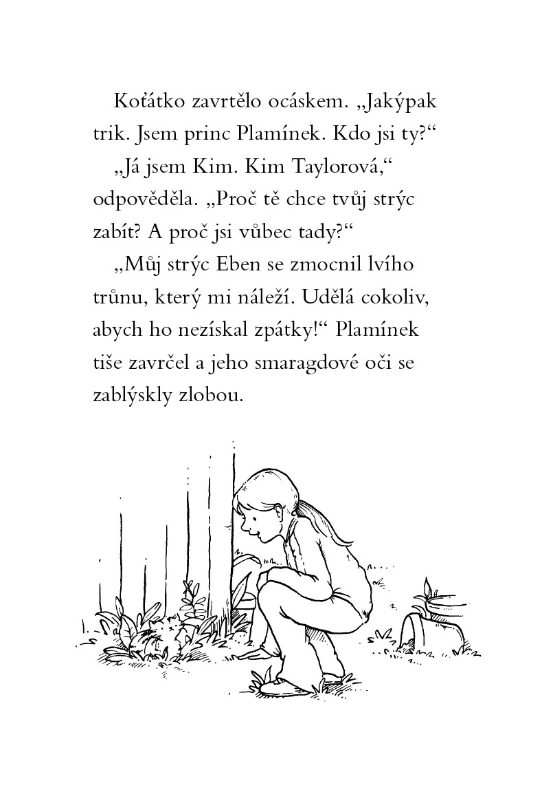 Kouzelné koťátko – Dvojitá pohroma