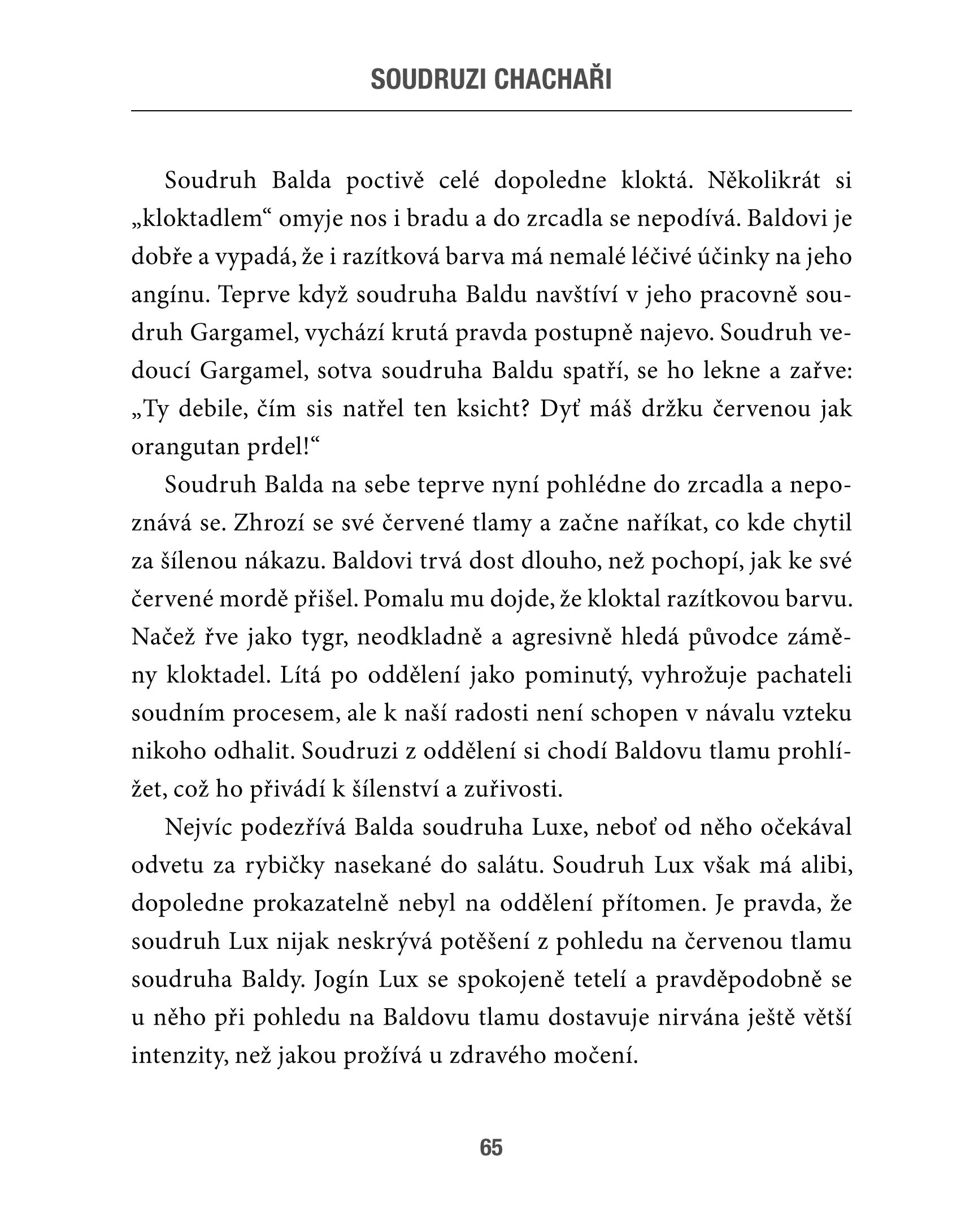 Soudruzi chachaři