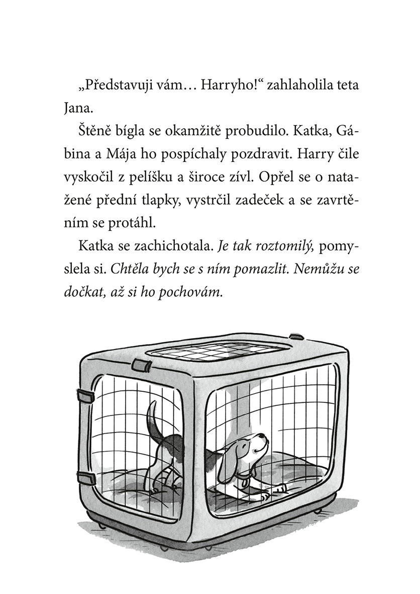 Ať žijí štěňata: Chyťte Harryho!