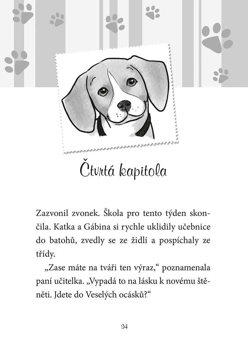 Ať žijí štěňata: Chyťte Harryho!