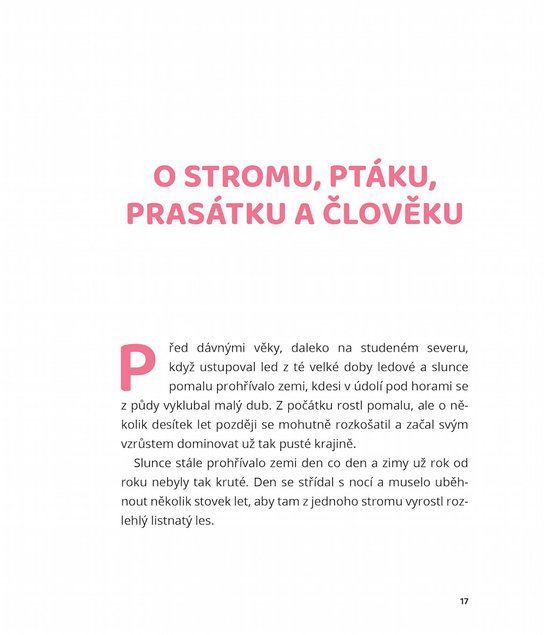 Problémy na Šumavě a jiné příběhy