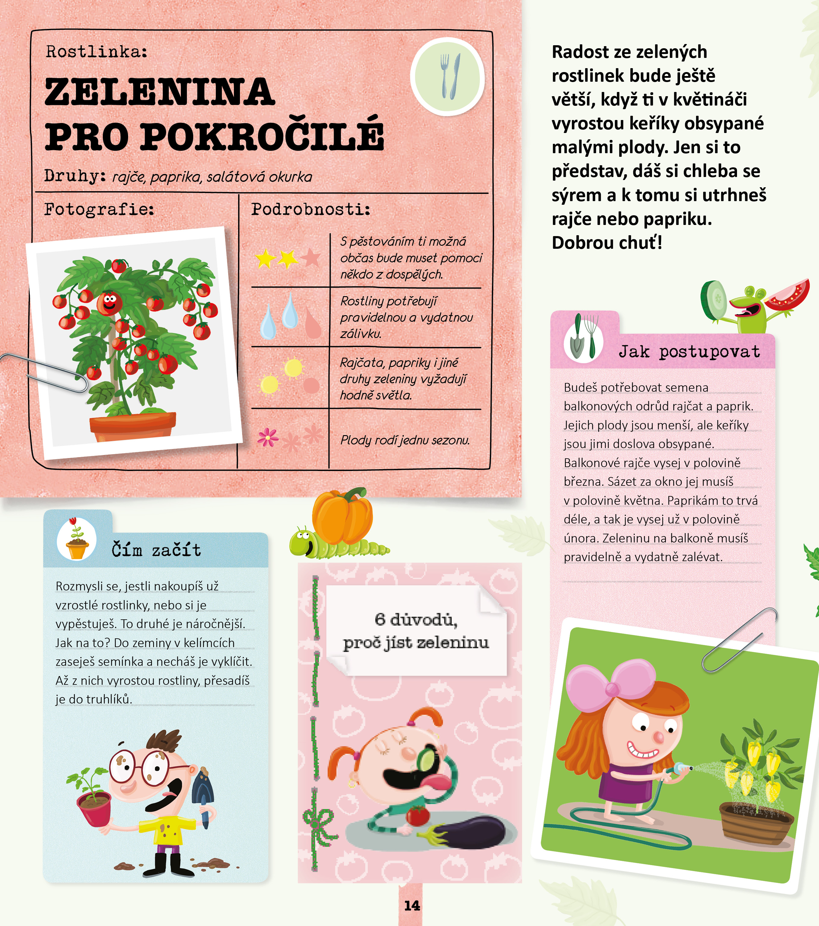 Vyber si svou rostlinku a nauč se o ni starat