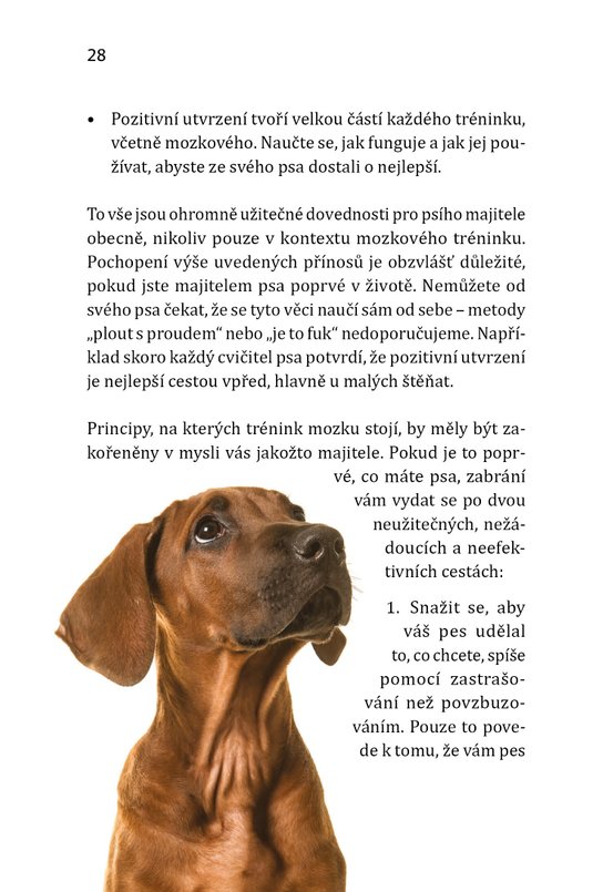 Inteligentní hry pro vašeho psa