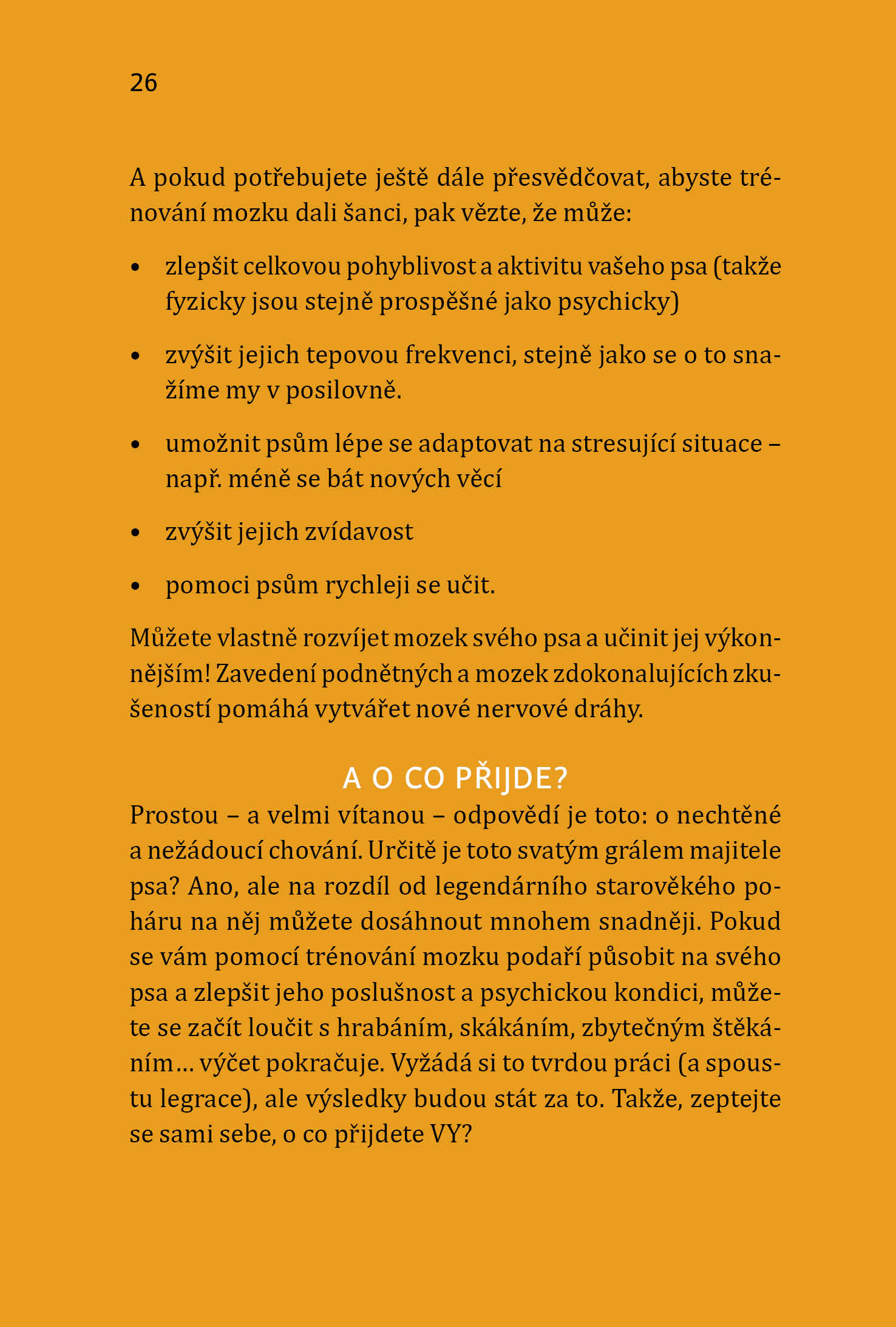Inteligentní hry pro vašeho psa